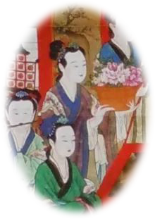 苑绝青